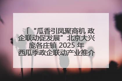 “瓜香引凤聚商机 政企联动促发展”北京大兴庞各庄镇 2025 年西瓜季政企联动产业推介活动圆满举行